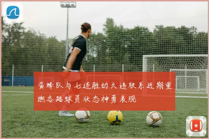 黄蜂队与七连胜的久违联系近期重燃各路球员状态神勇表现