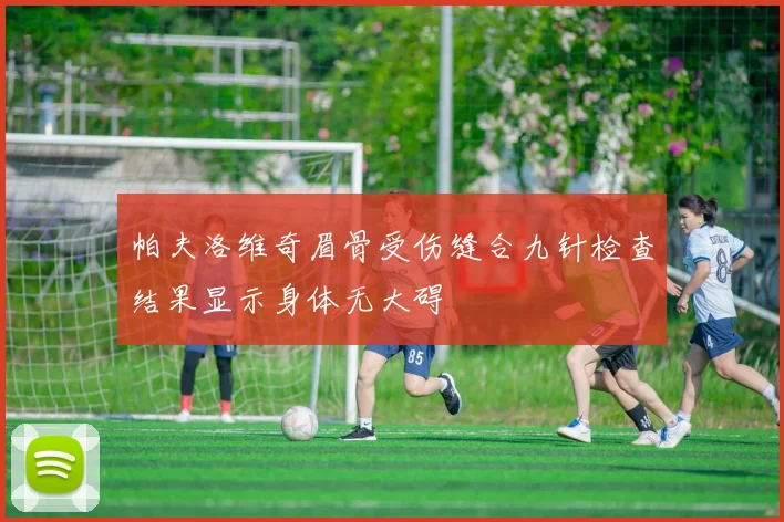 帕夫洛维奇眉骨受伤缝合九针检查结果显示身体无大碍
