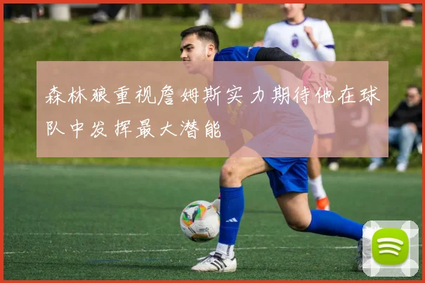 森林狼重视詹姆斯实力期待他在球队中发挥最大潜能